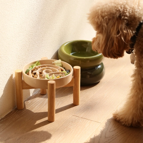 The Spark - Slow Feeder Dog Bowl
