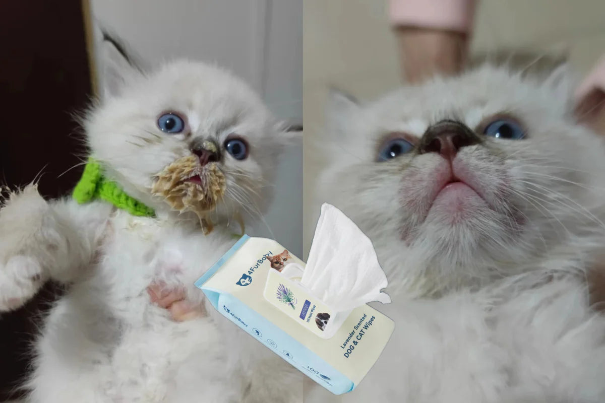 Hypoallergenic Plant-Based Pet Wipes