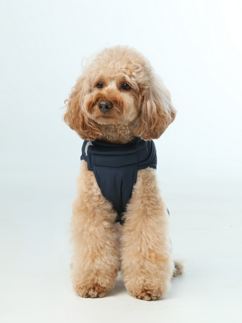 Urban Cloud Reversible Dog Vest - Blue