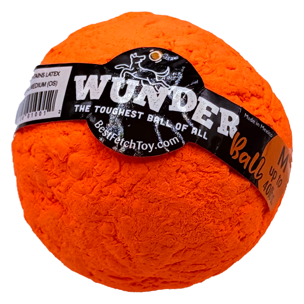 The WUNDERball Fetch Toy