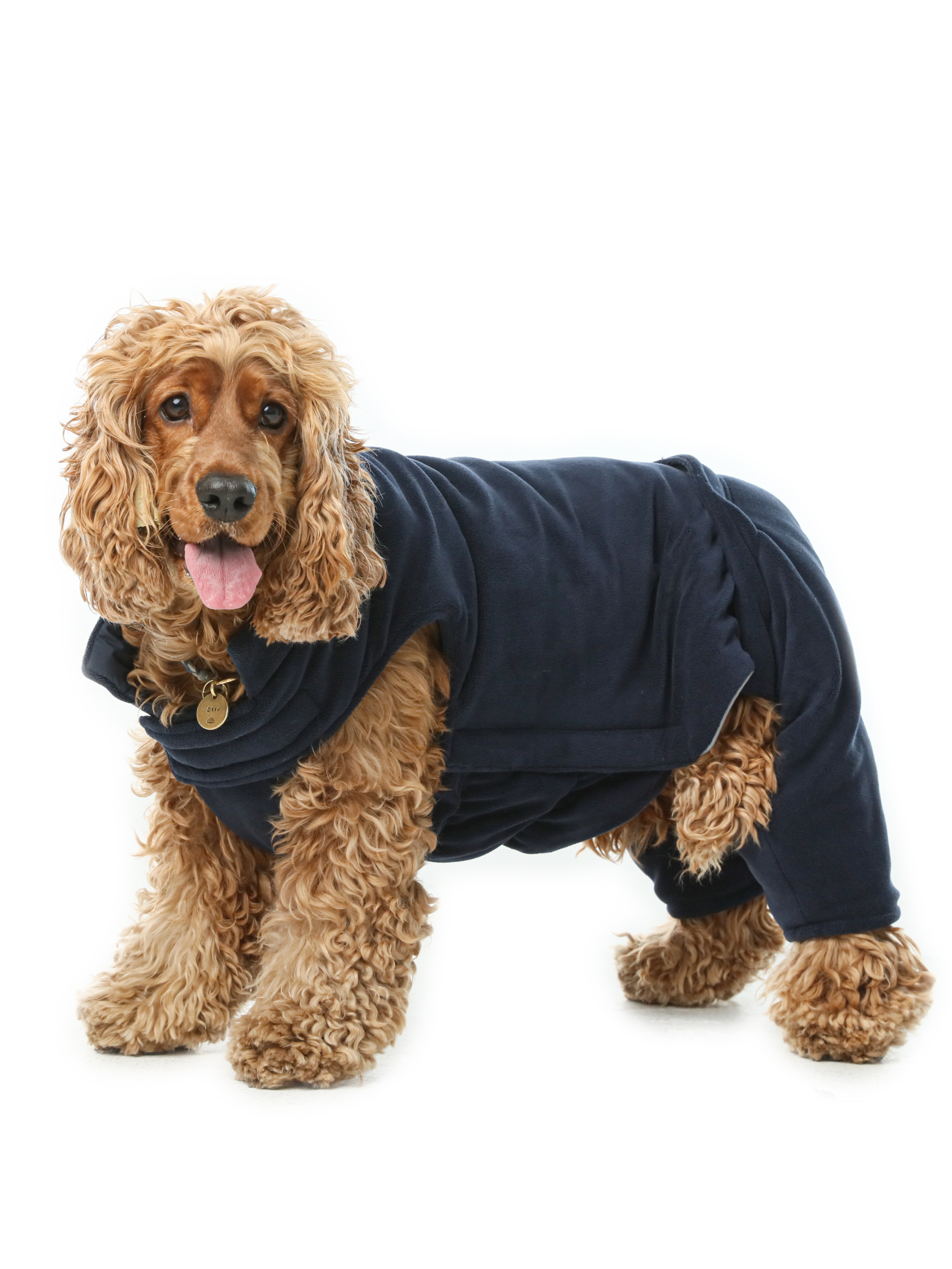 Urban Cloud Reversible Dog Vest - Blue