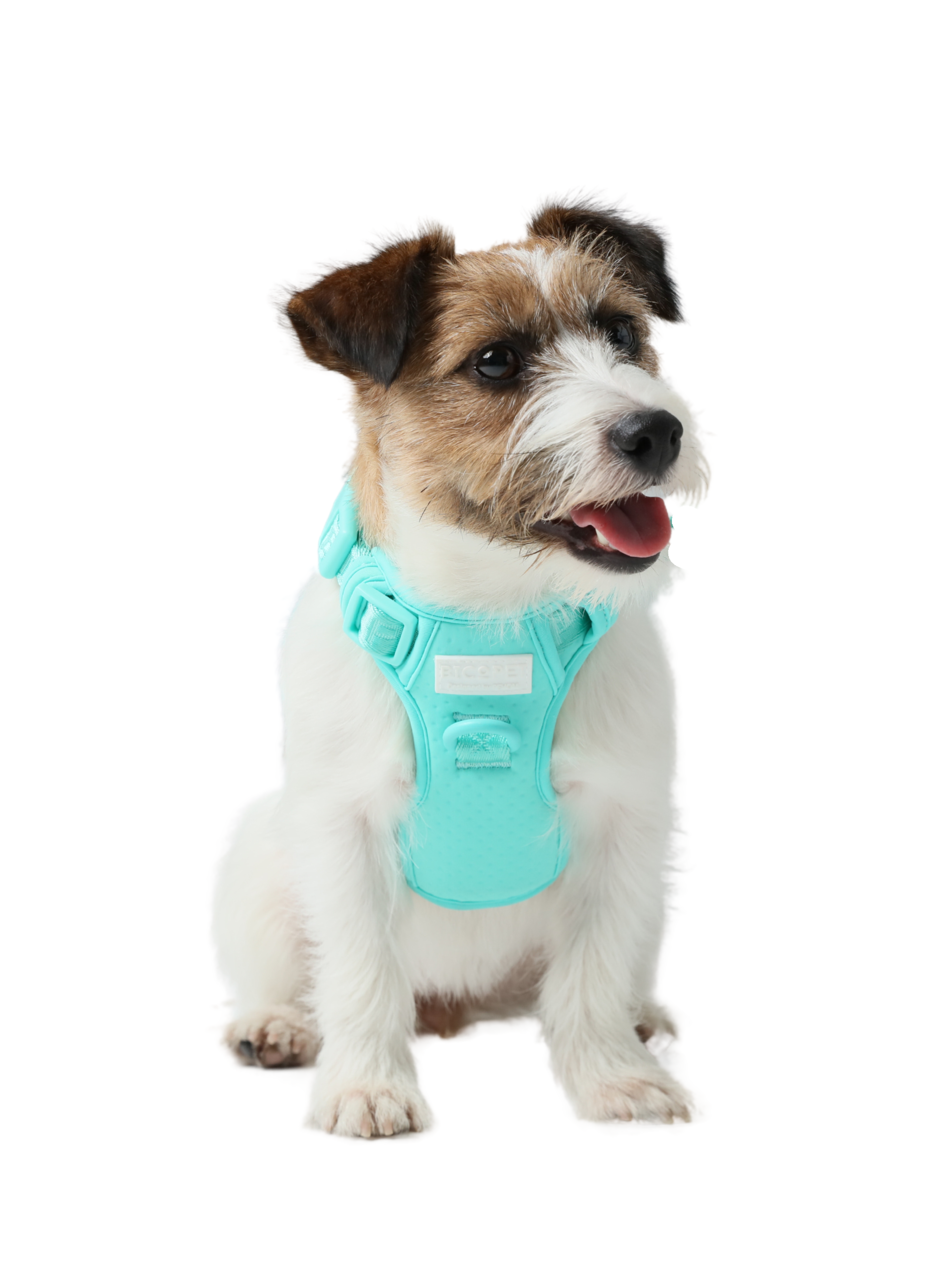 Urban Active Dog Harness - Mint Green