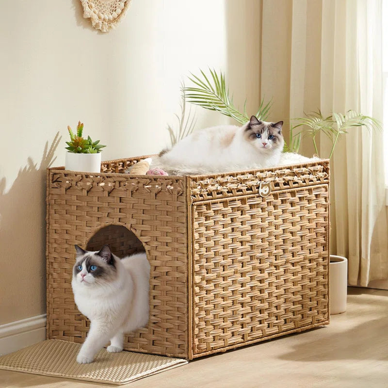 Two cats inside a wicker pet bed with plants and a plant holder in the background.