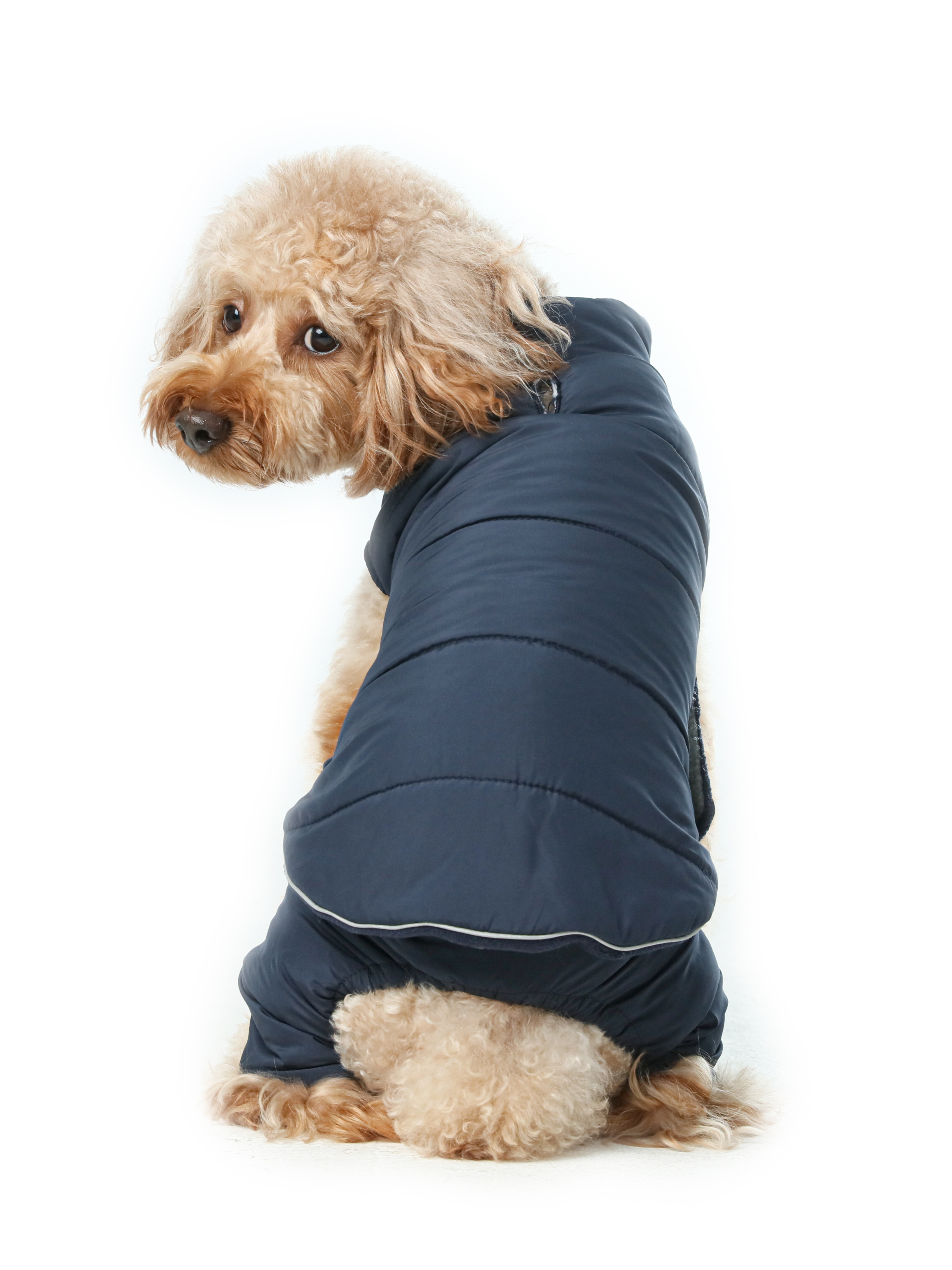 Urban Cloud Reversible Dog Vest - Blue