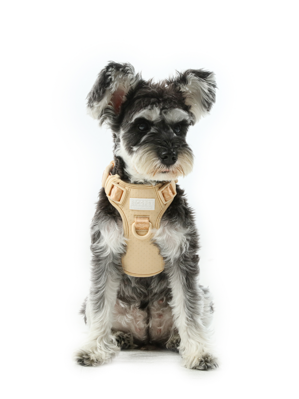 Urban Active Dog Harness - Apricot