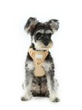 Urban Active Dog Harness - Apricot