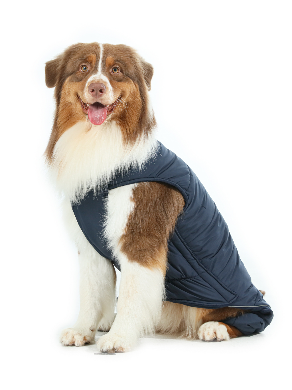 Urban Cloud Reversible Dog Vest - Blue