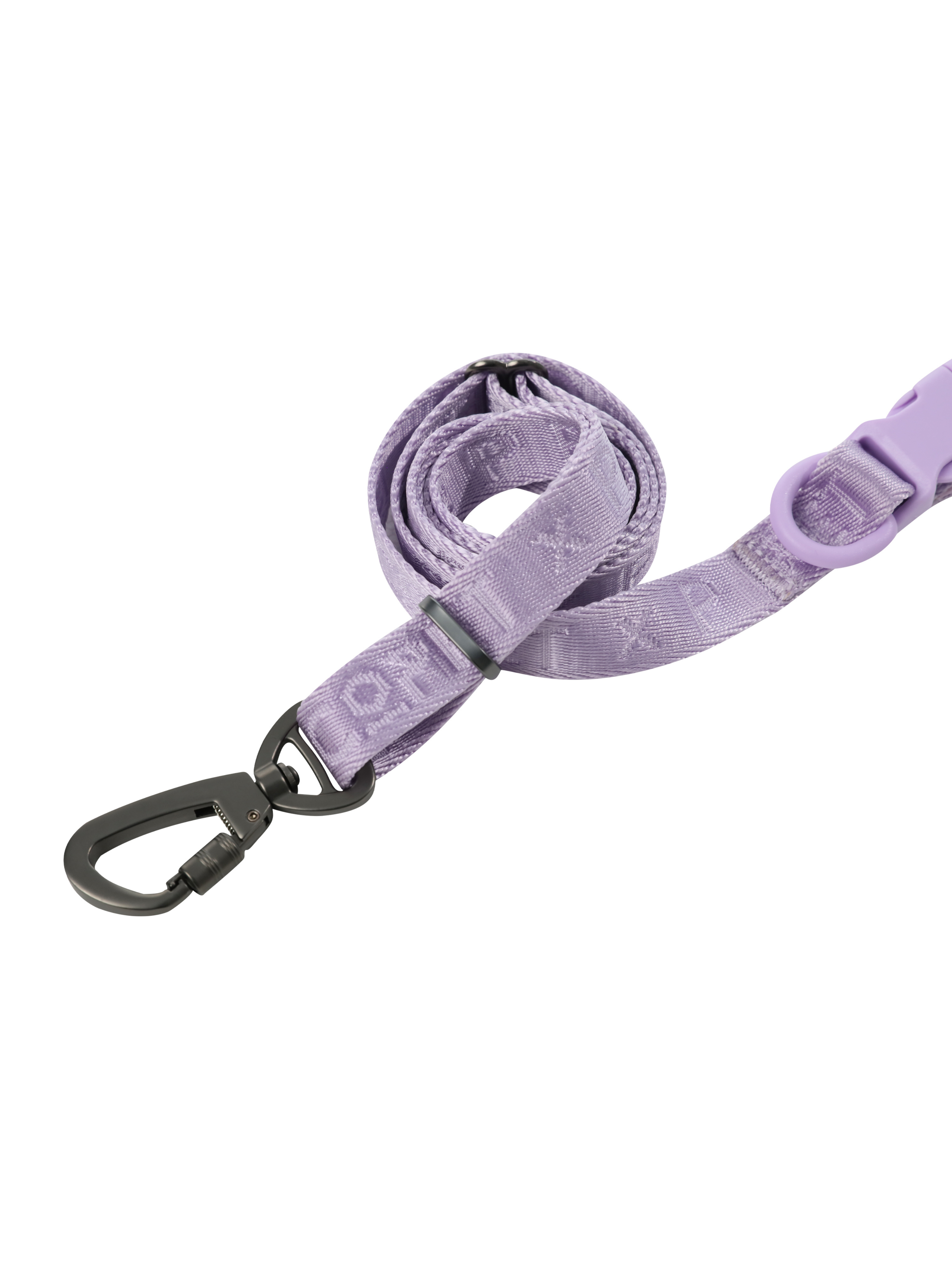Urban Active Dog Leash - Mint Purple