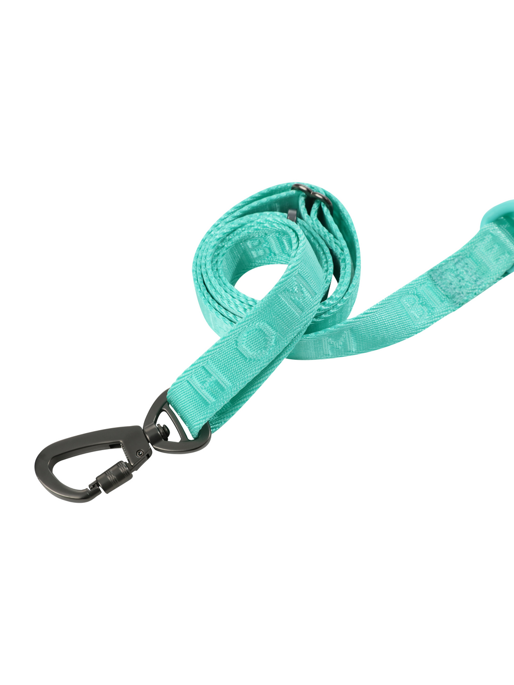 Urban Active Dog Leash - Mint Green