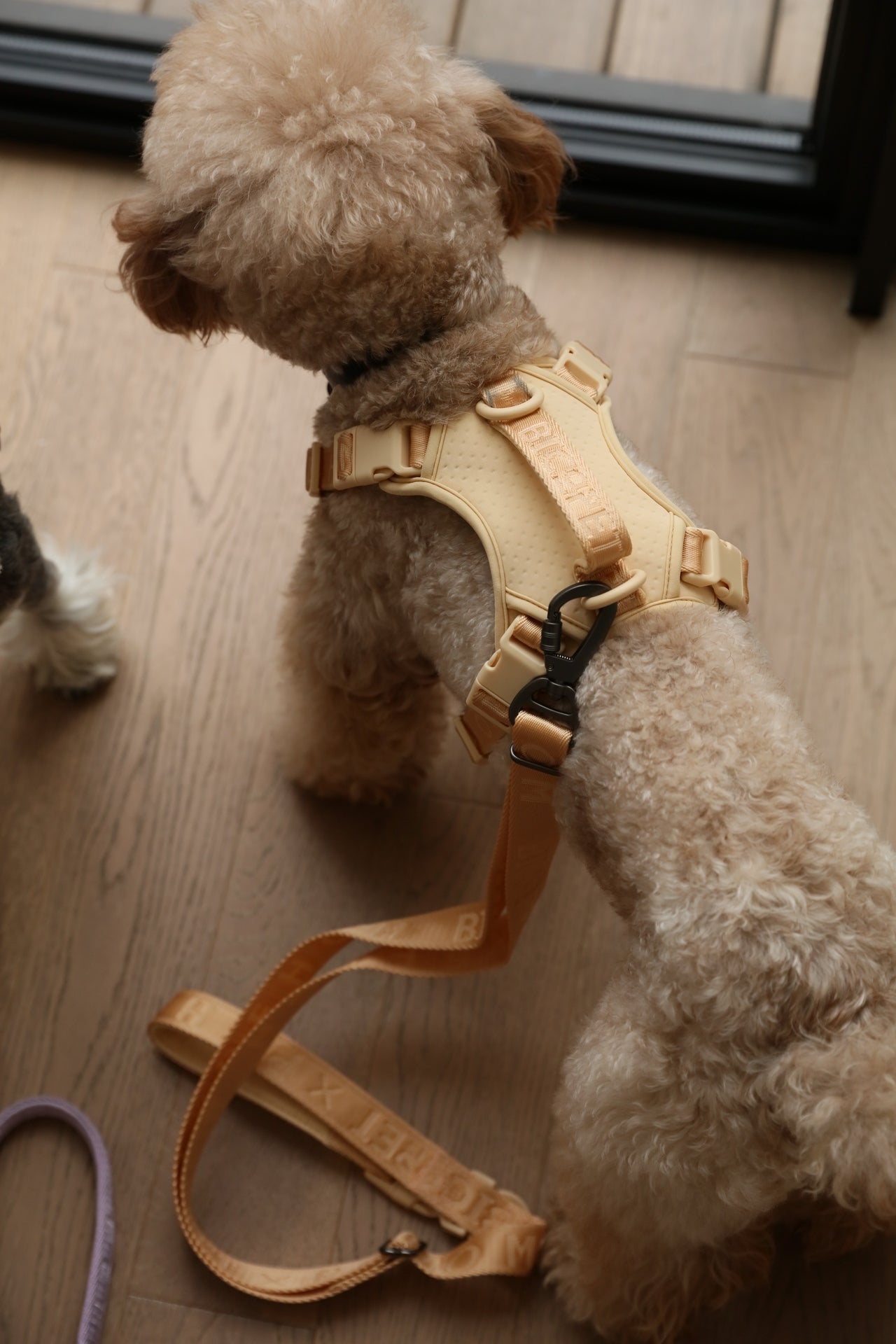Urban Active Dog Harness - Apricot