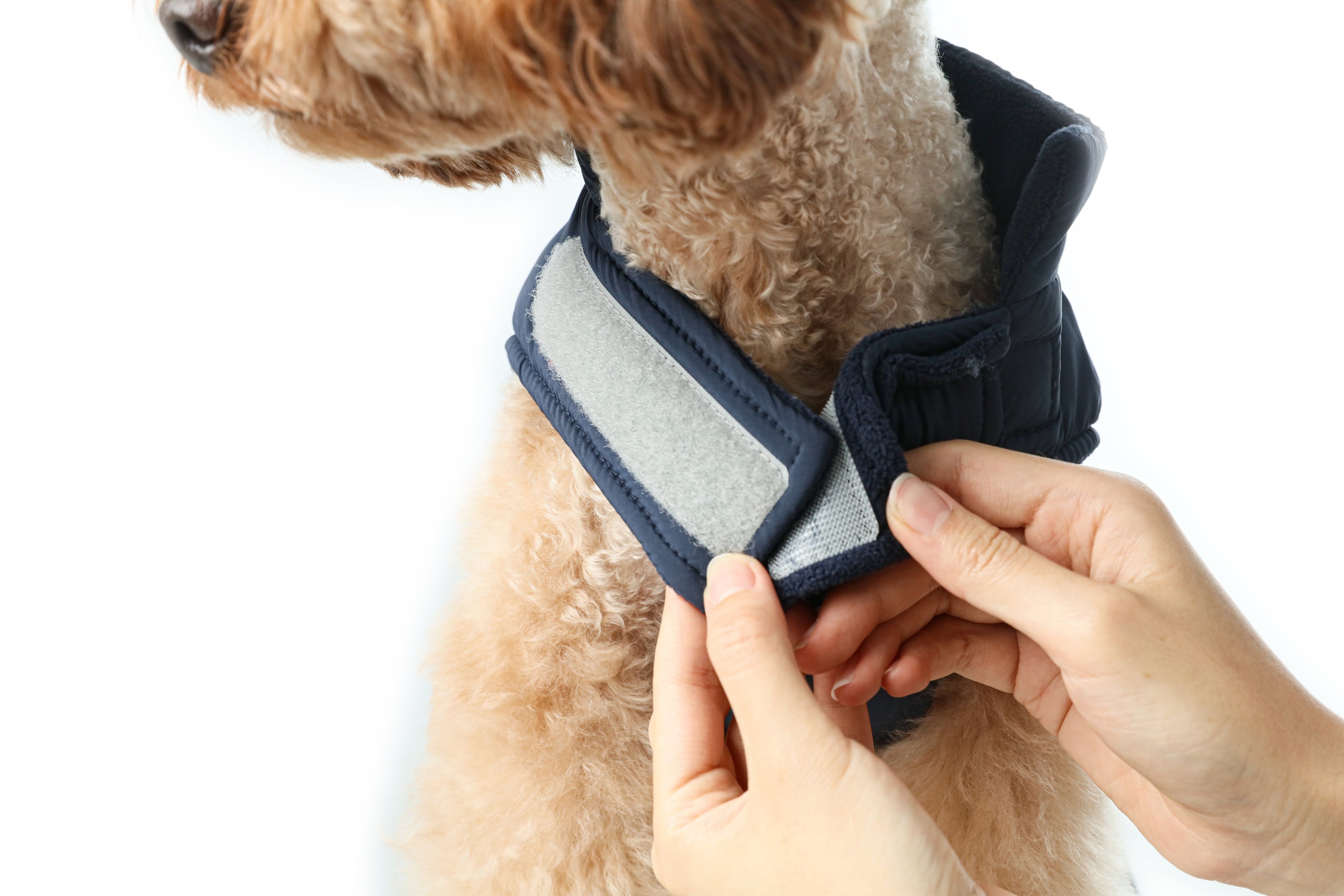 Urban Cloud Reversible Dog Vest - Blue