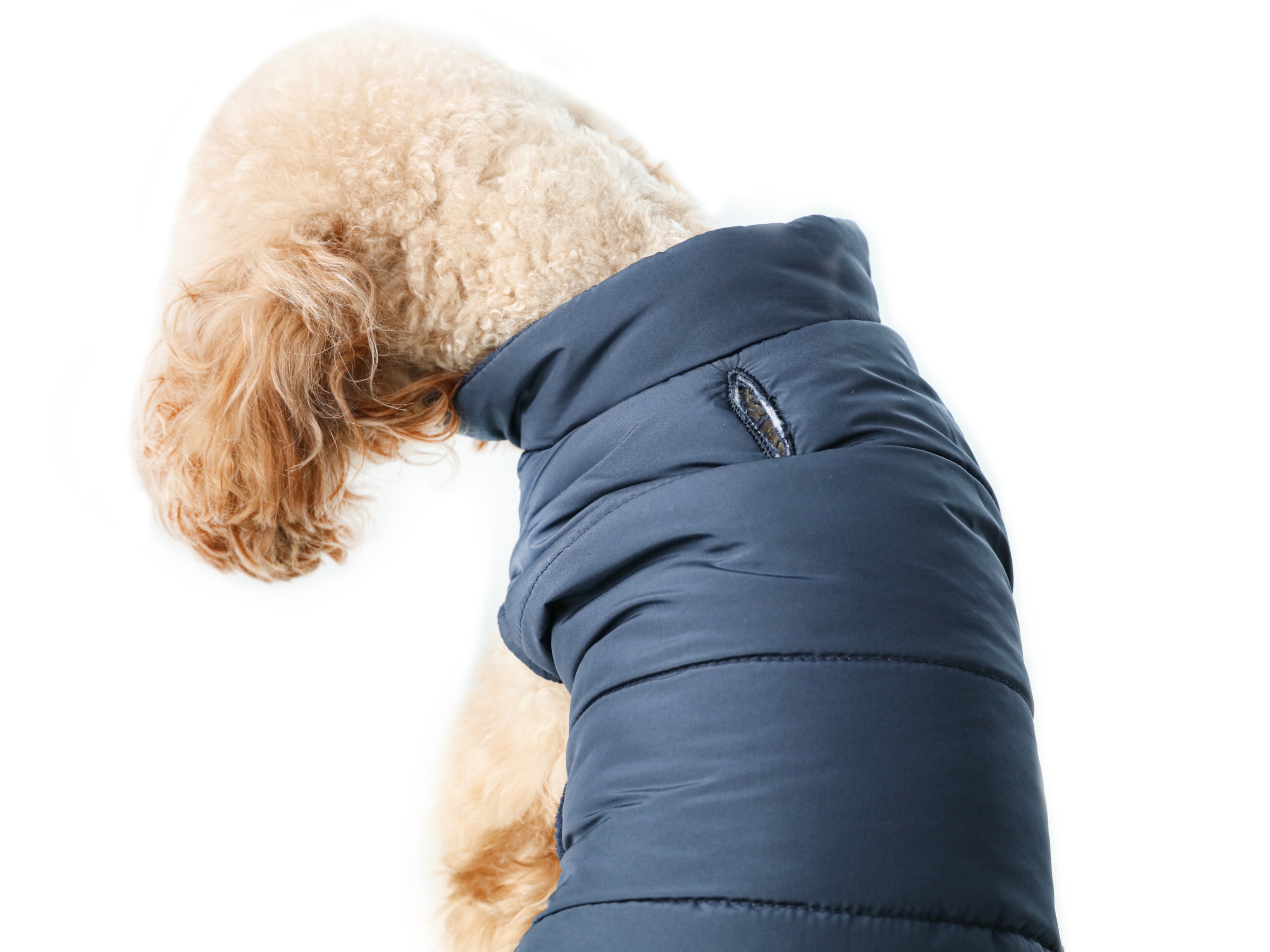 Urban Cloud Reversible Dog Vest - Red
