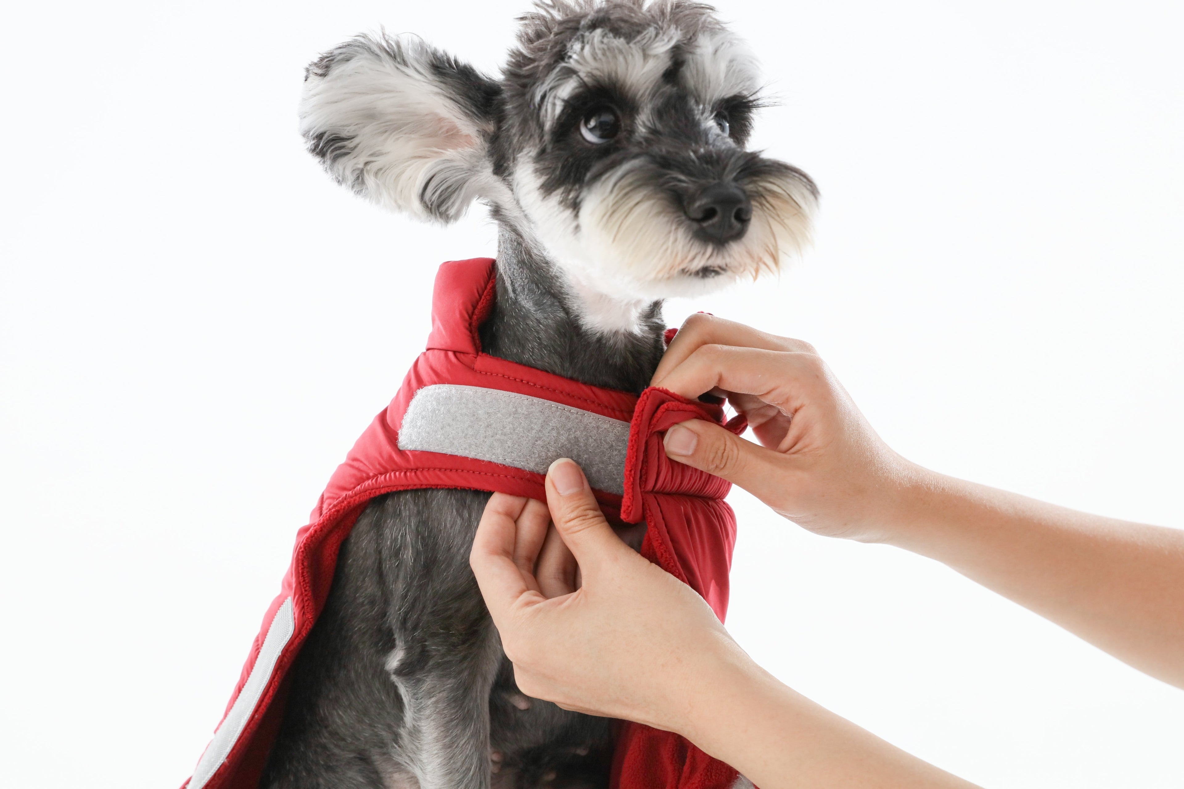 Urban Cloud Reversible Dog Vest - Red