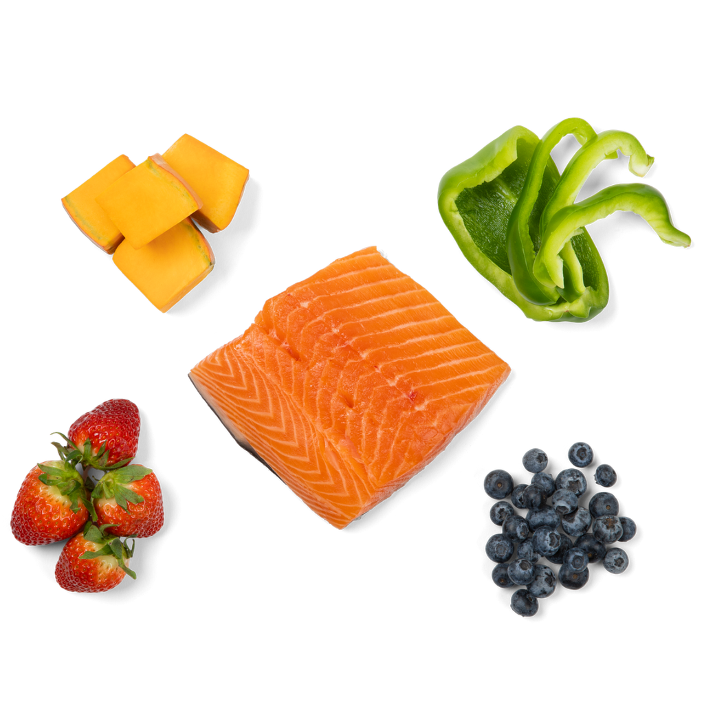 BareNaked Dog Trail Mix: Salmon