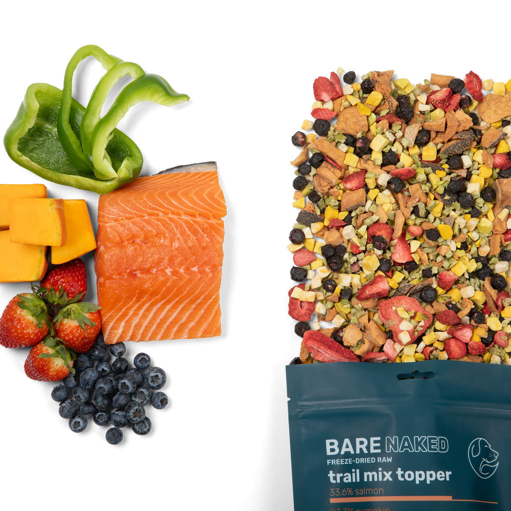 BareNaked Dog Trail Mix: Salmon