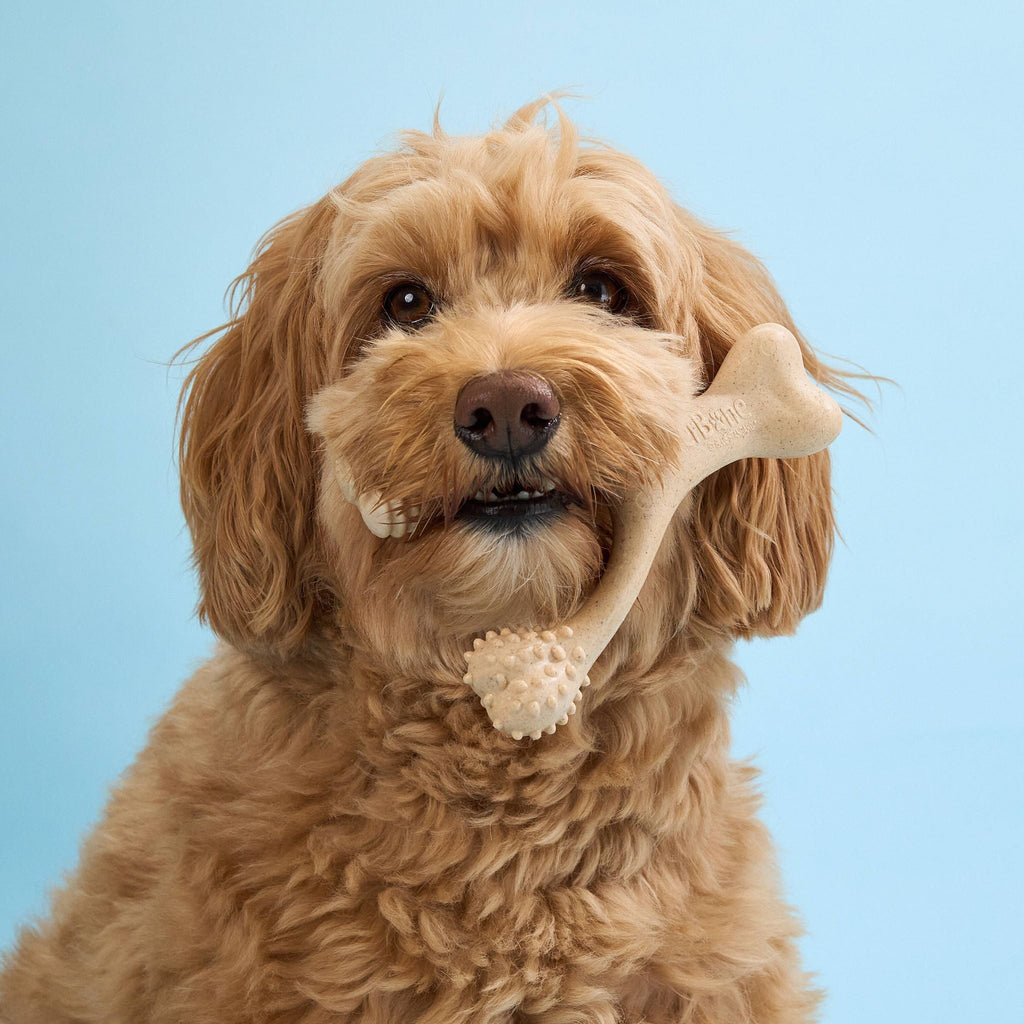 BetterBone Soft Chew Toy