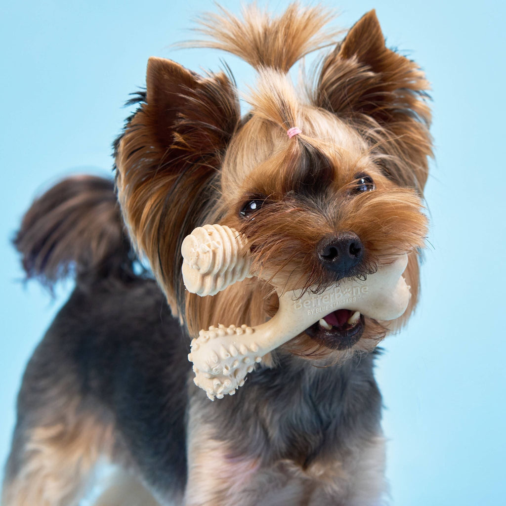 BetterBone Soft Chew Toy