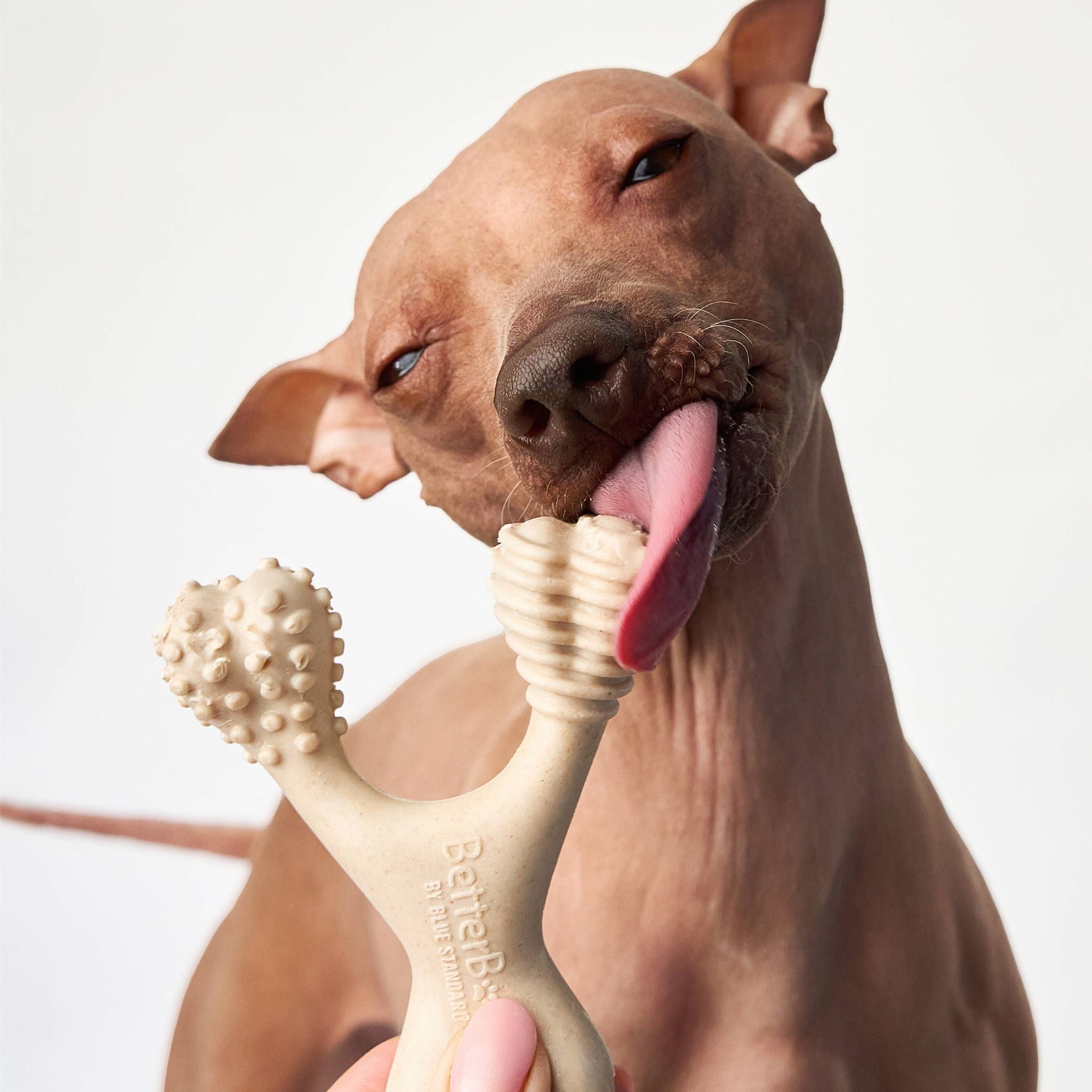 BetterBone Soft Chew Toy