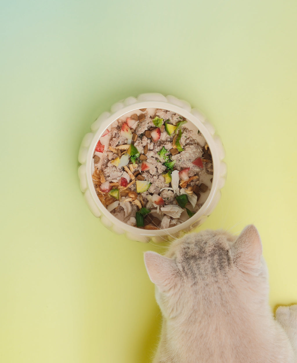The Puff Pet Bowl