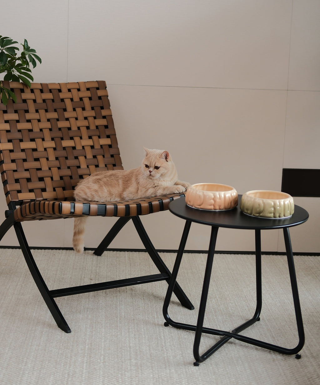 The Puff Pet Bowl