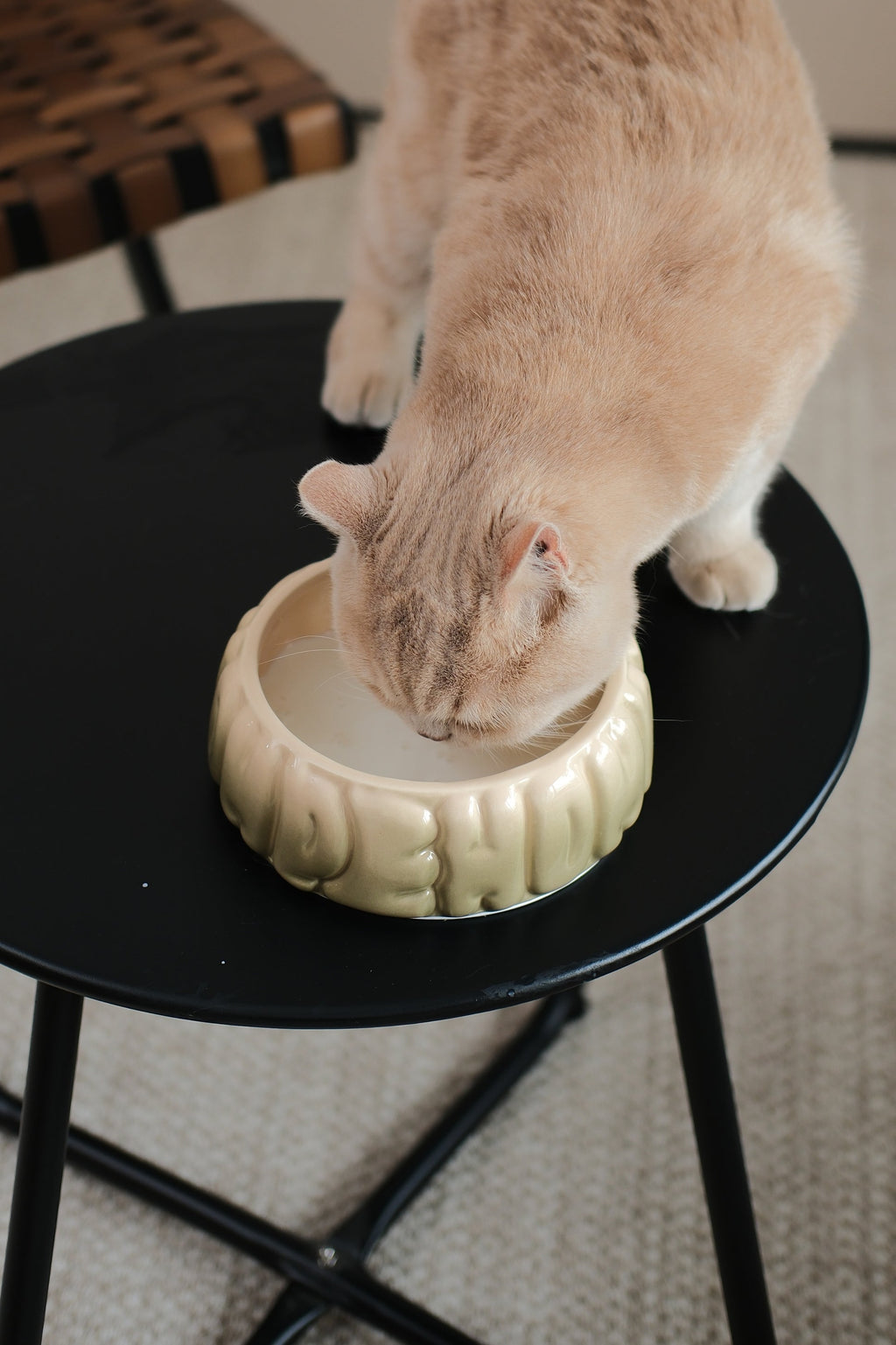 The Puff Pet Bowl