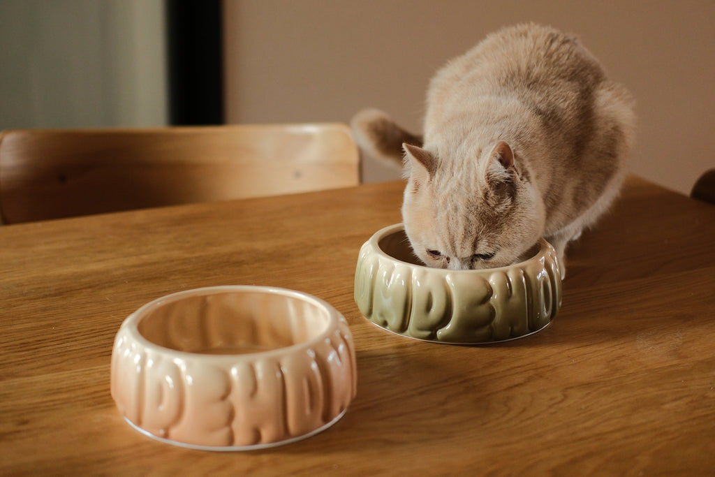 The Puff Pet Bowl