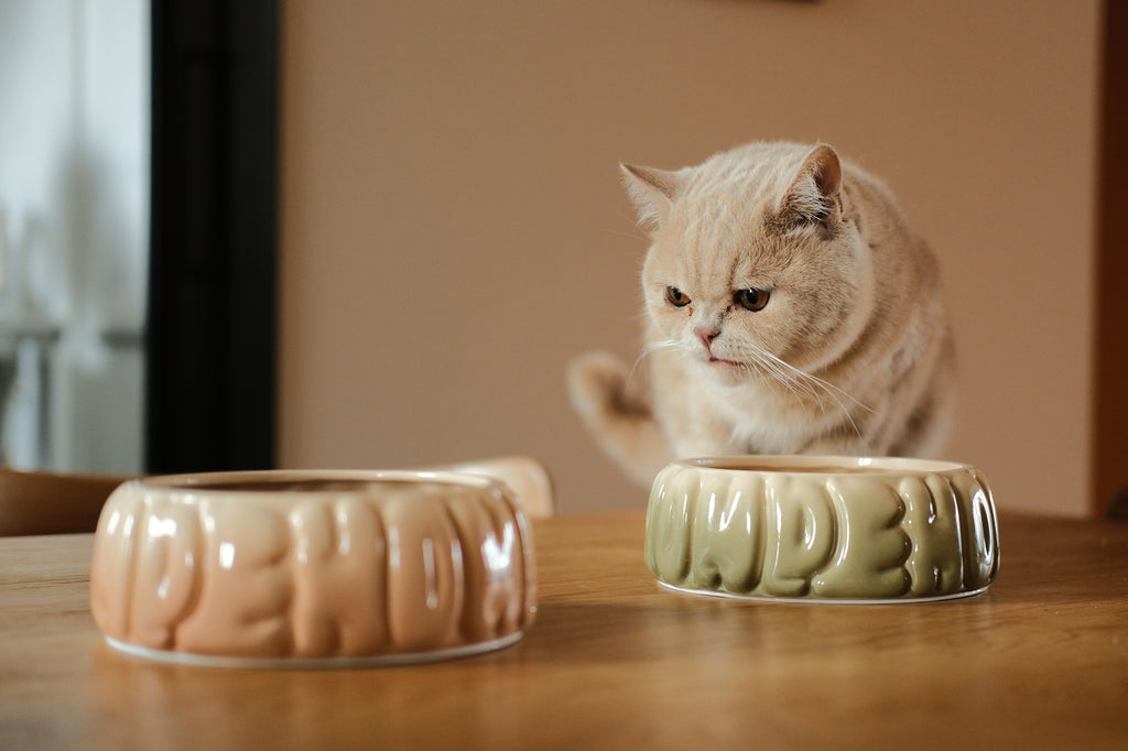 The Puff Pet Bowl