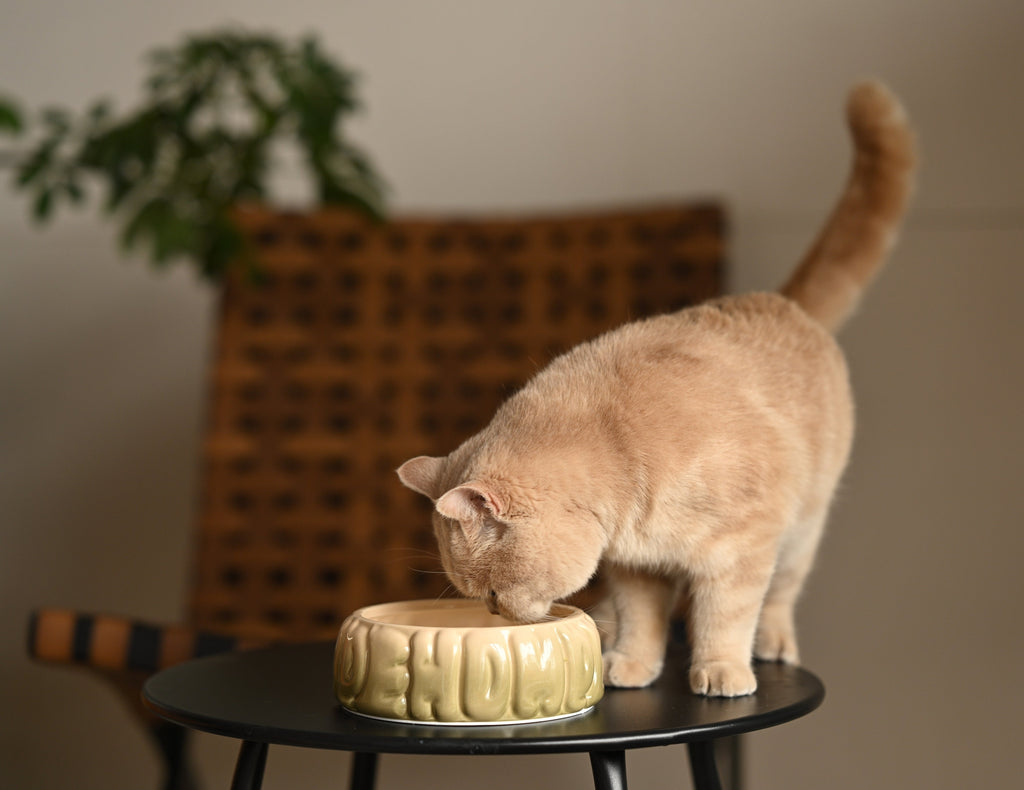 The Puff Pet Bowl