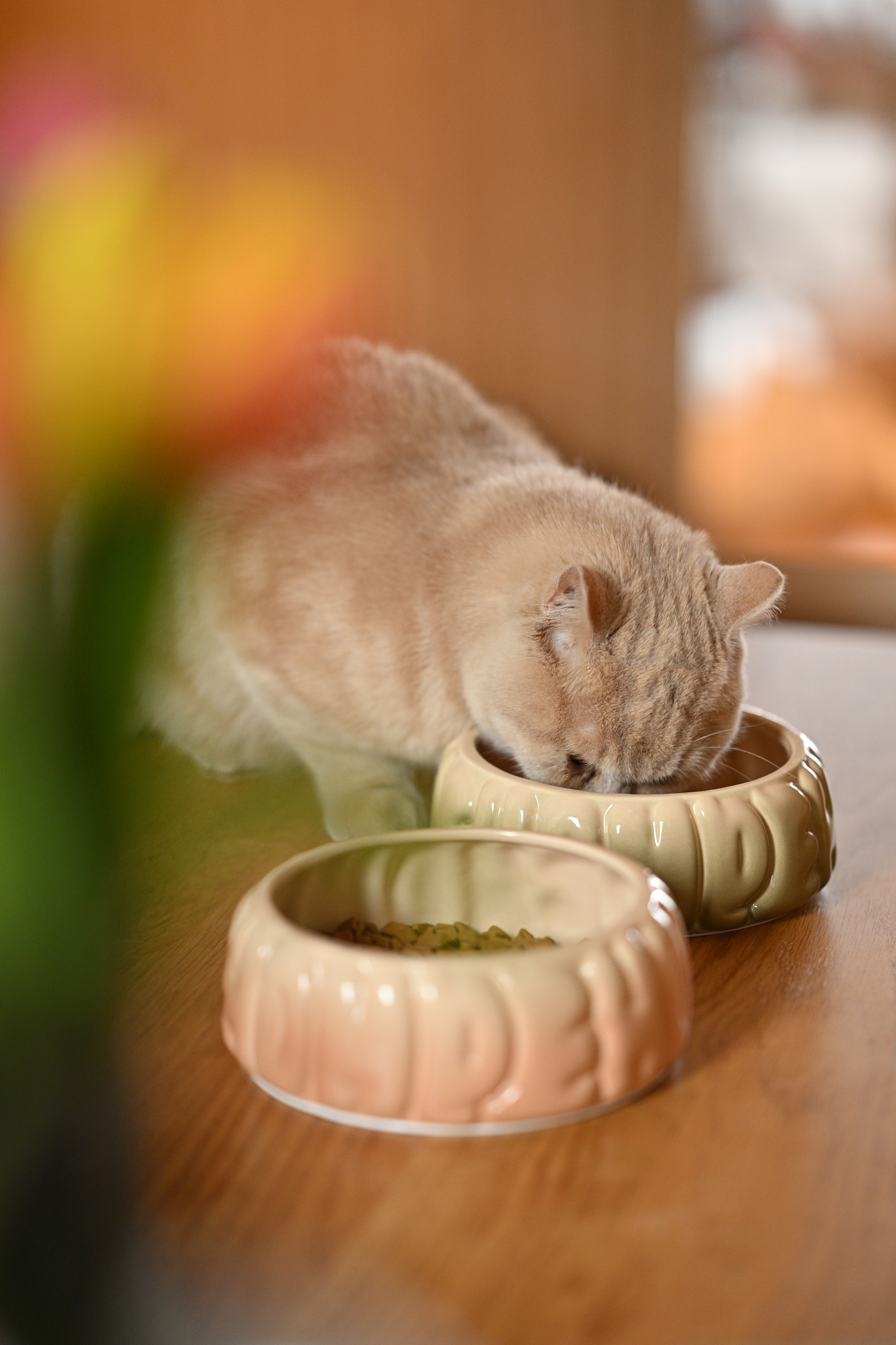 The Puff Pet Bowl