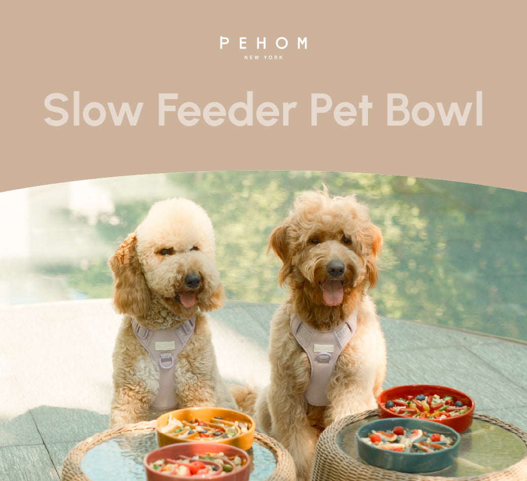 The Wave - Slow Feeder Dog Bowl