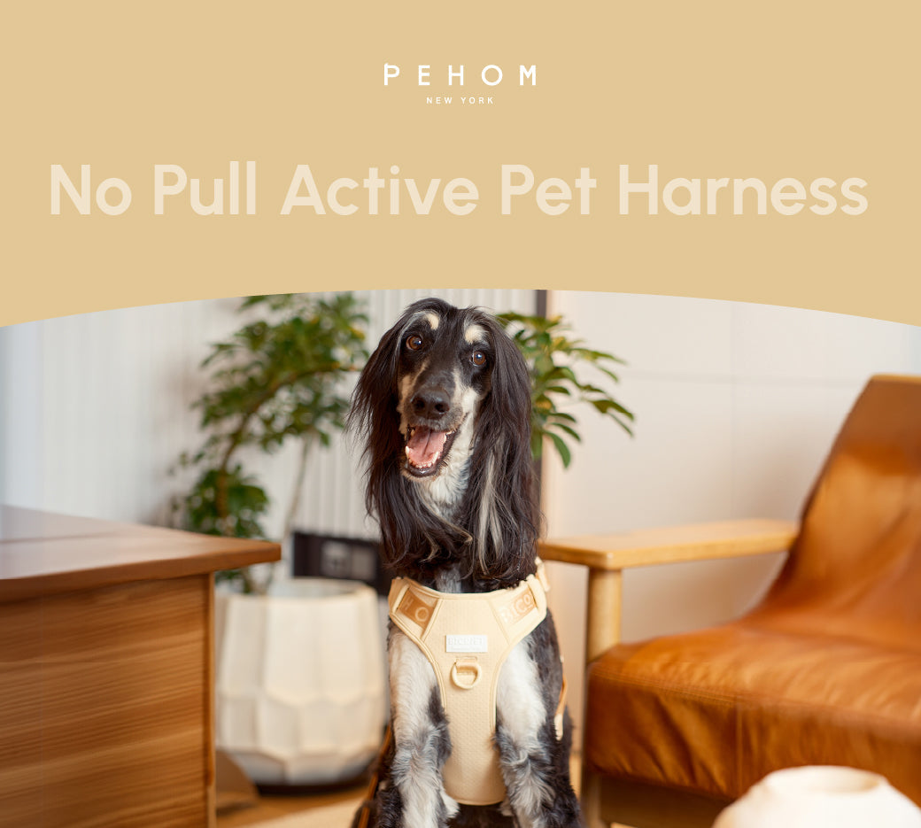 Urban Active Dog Harness - Apricot