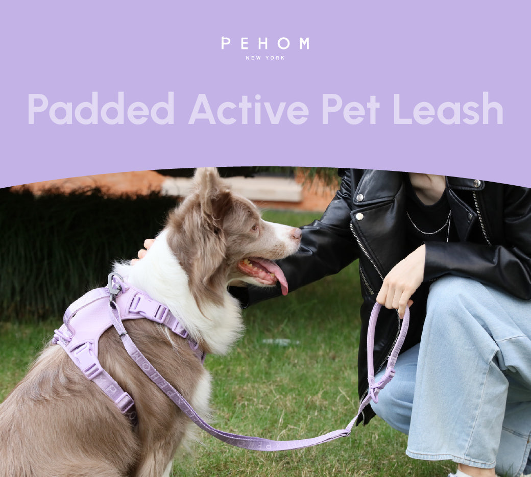 Urban Active Dog Leash - Mint Purple