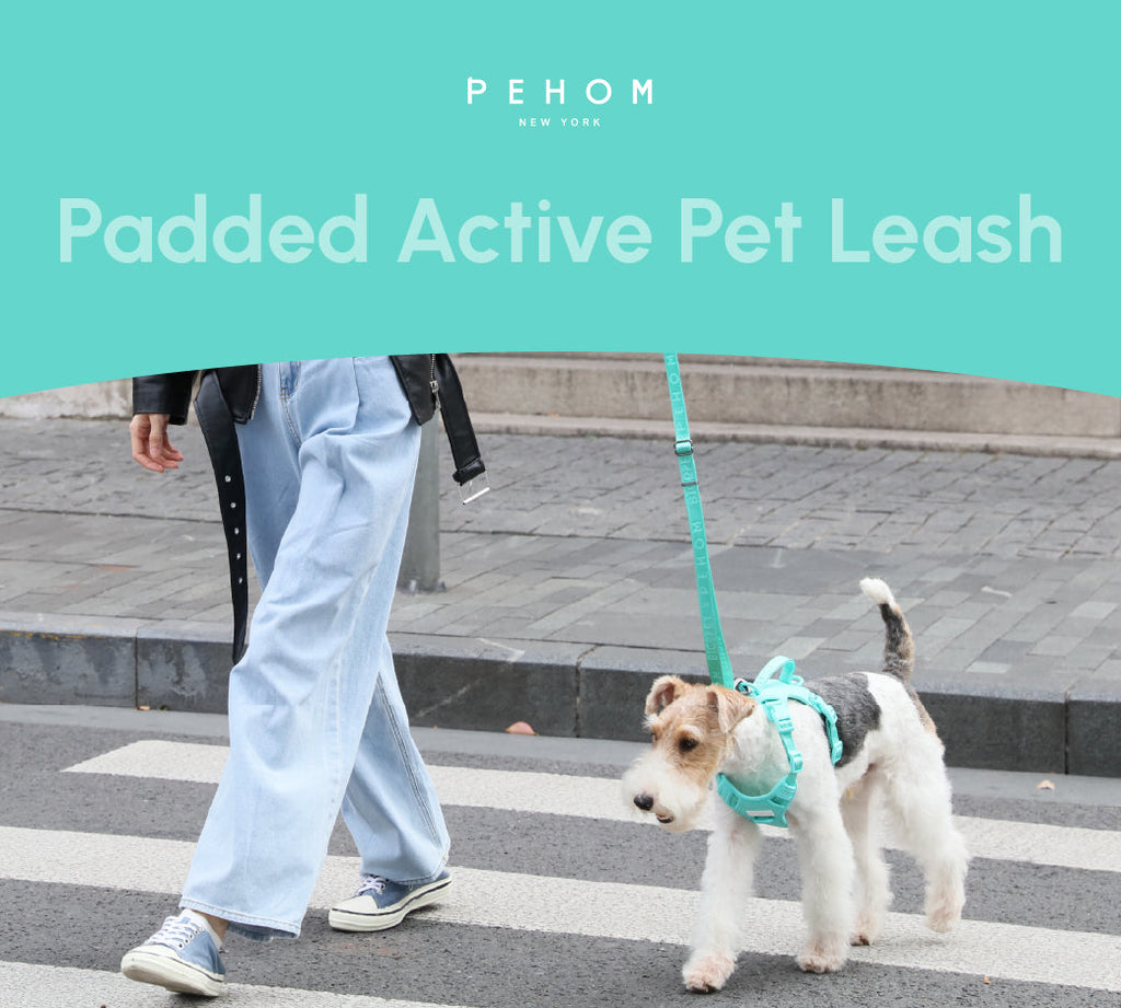 Urban Active Dog Leash - Mint Green