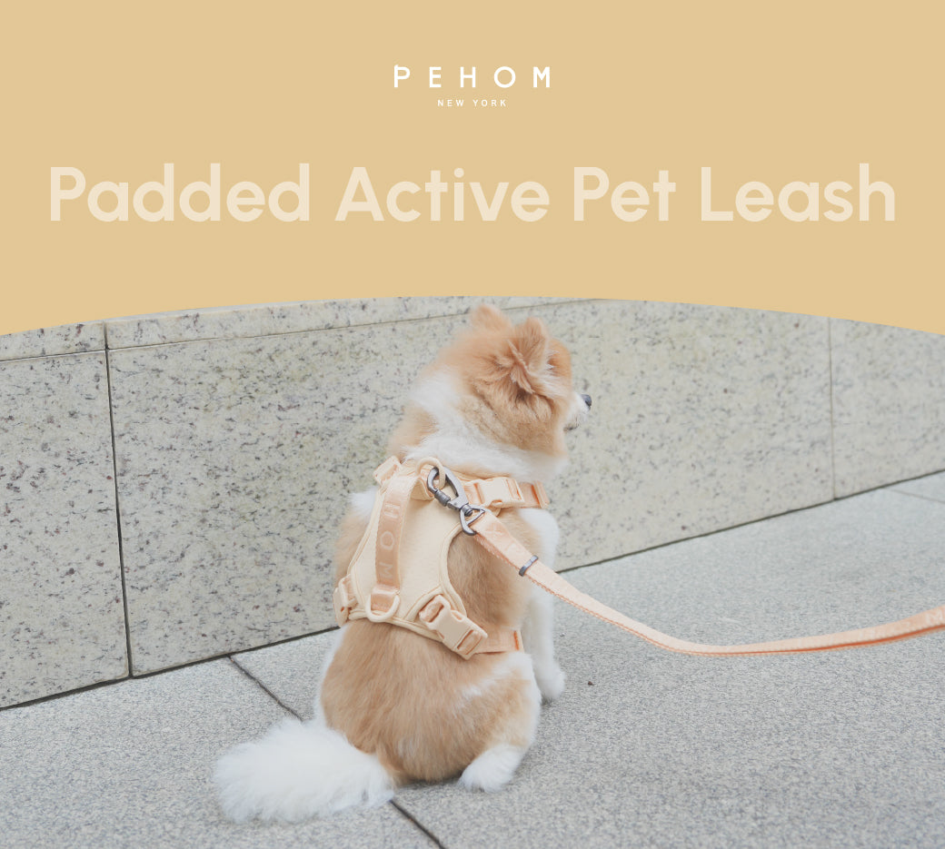Urban Active Dog Leash – Apricot