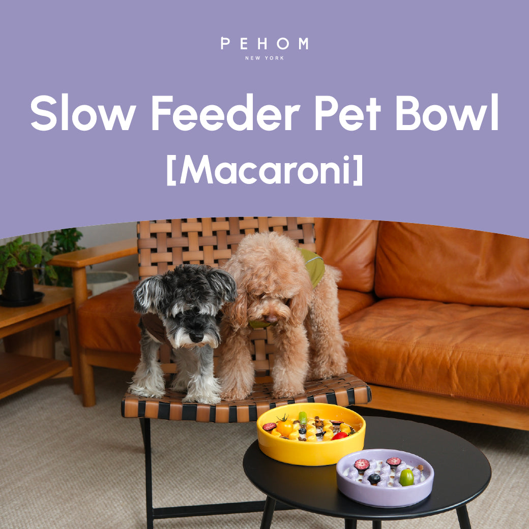 The Macaroni - Slow Feeder Dog Bowl