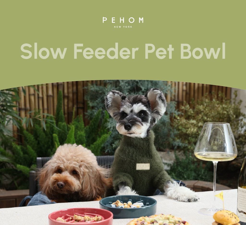 The Spark - Slow Feeder Dog Bowl