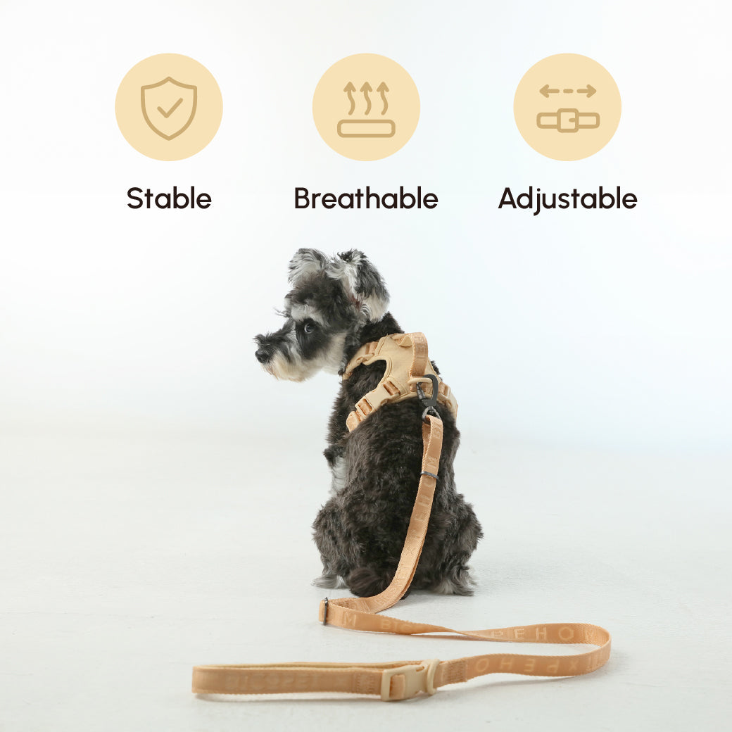 Urban Active Dog Leash – Apricot