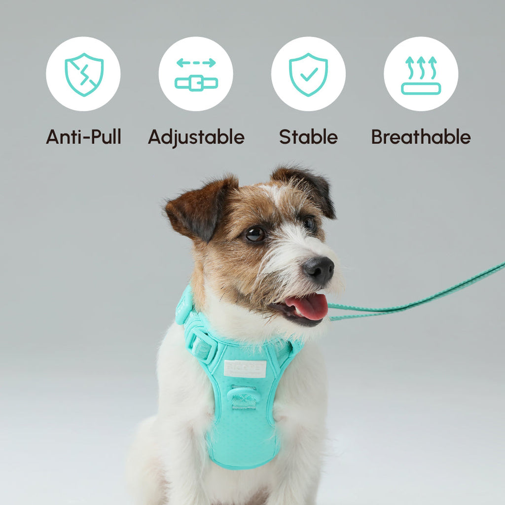 Urban Active Dog Harness - Mint Green