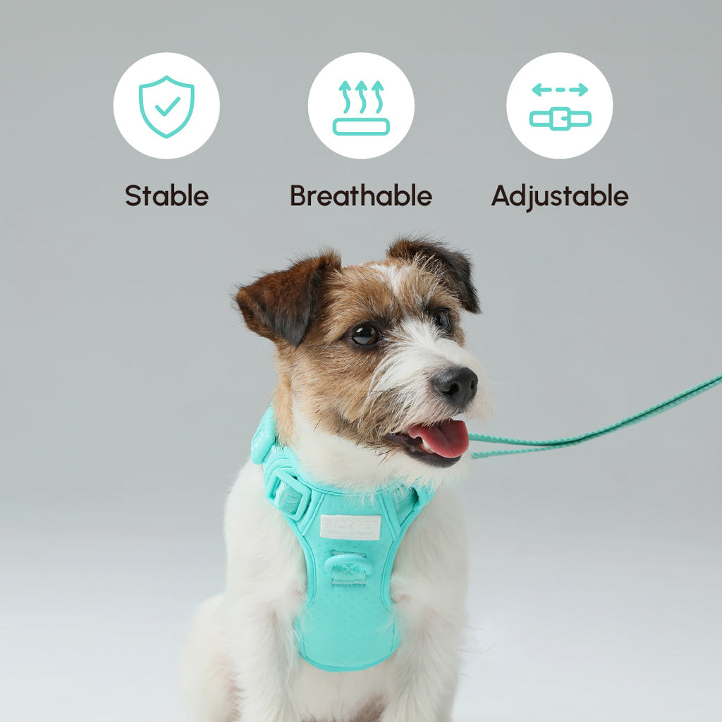 Urban Active Dog Leash - Mint Green