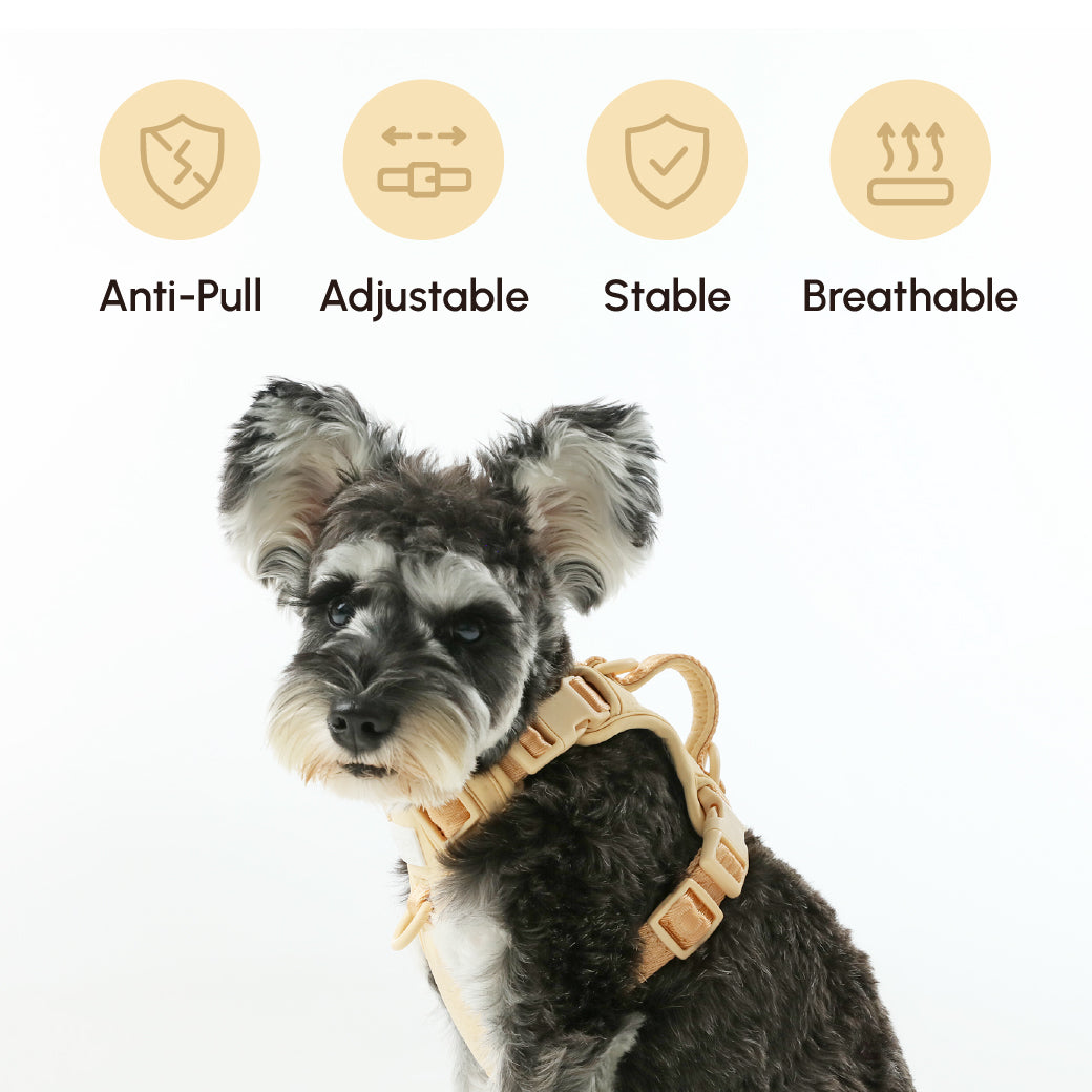 Urban Active Dog Harness - Apricot