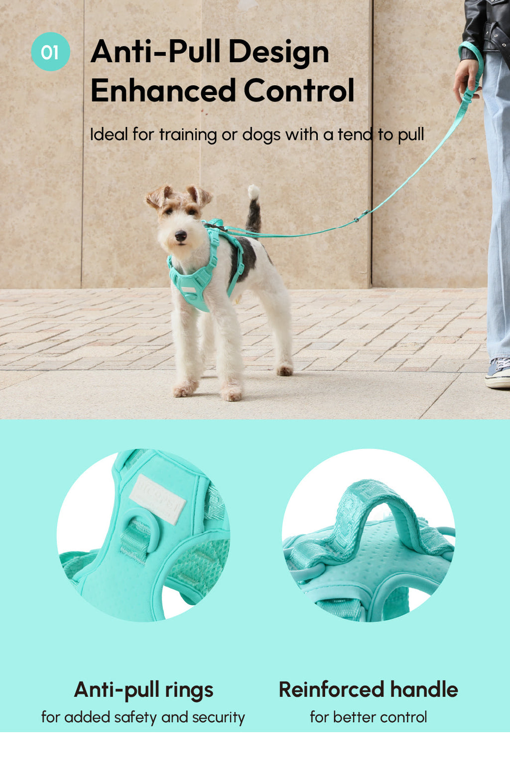 Urban Active Dog Harness - Mint Green