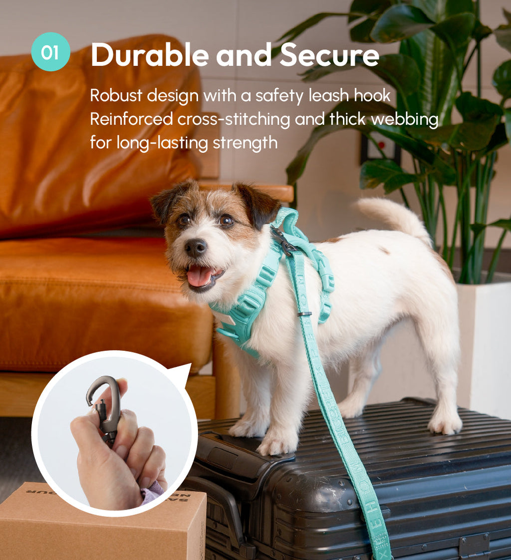 Urban Active Dog Leash - Mint Green