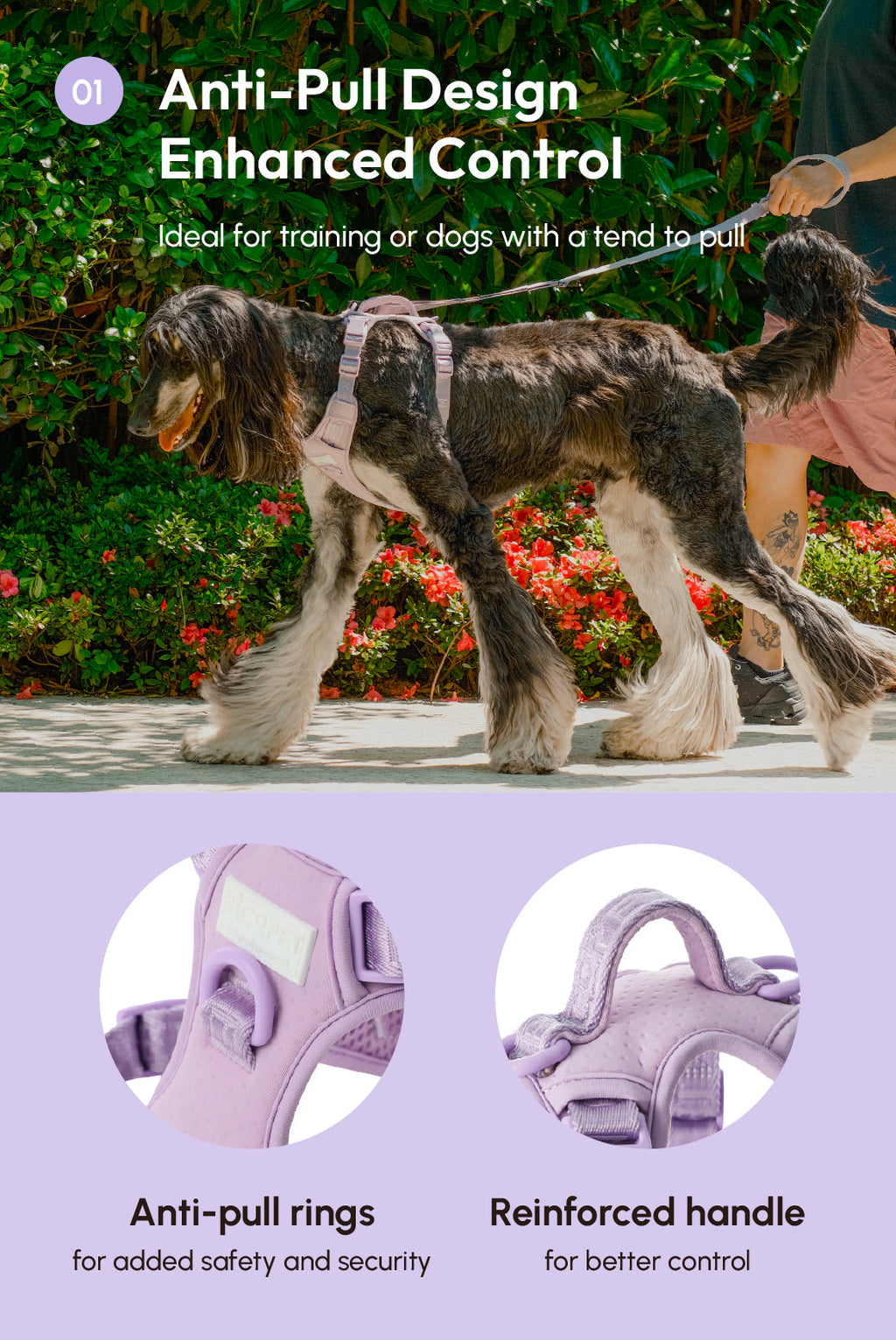 Urban Active Dog Harness - Mint Purple