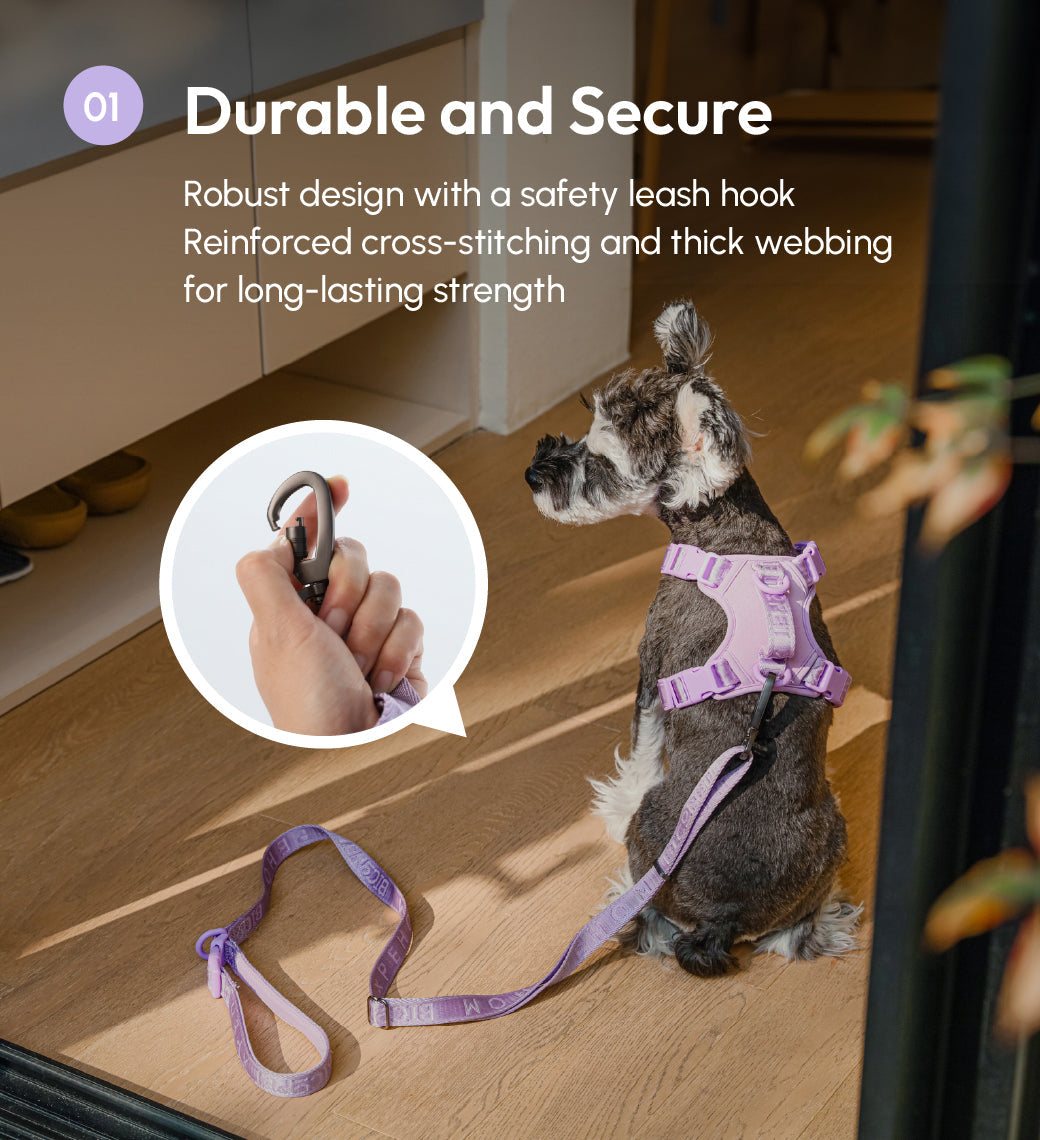 Urban Active Dog Leash - Mint Purple