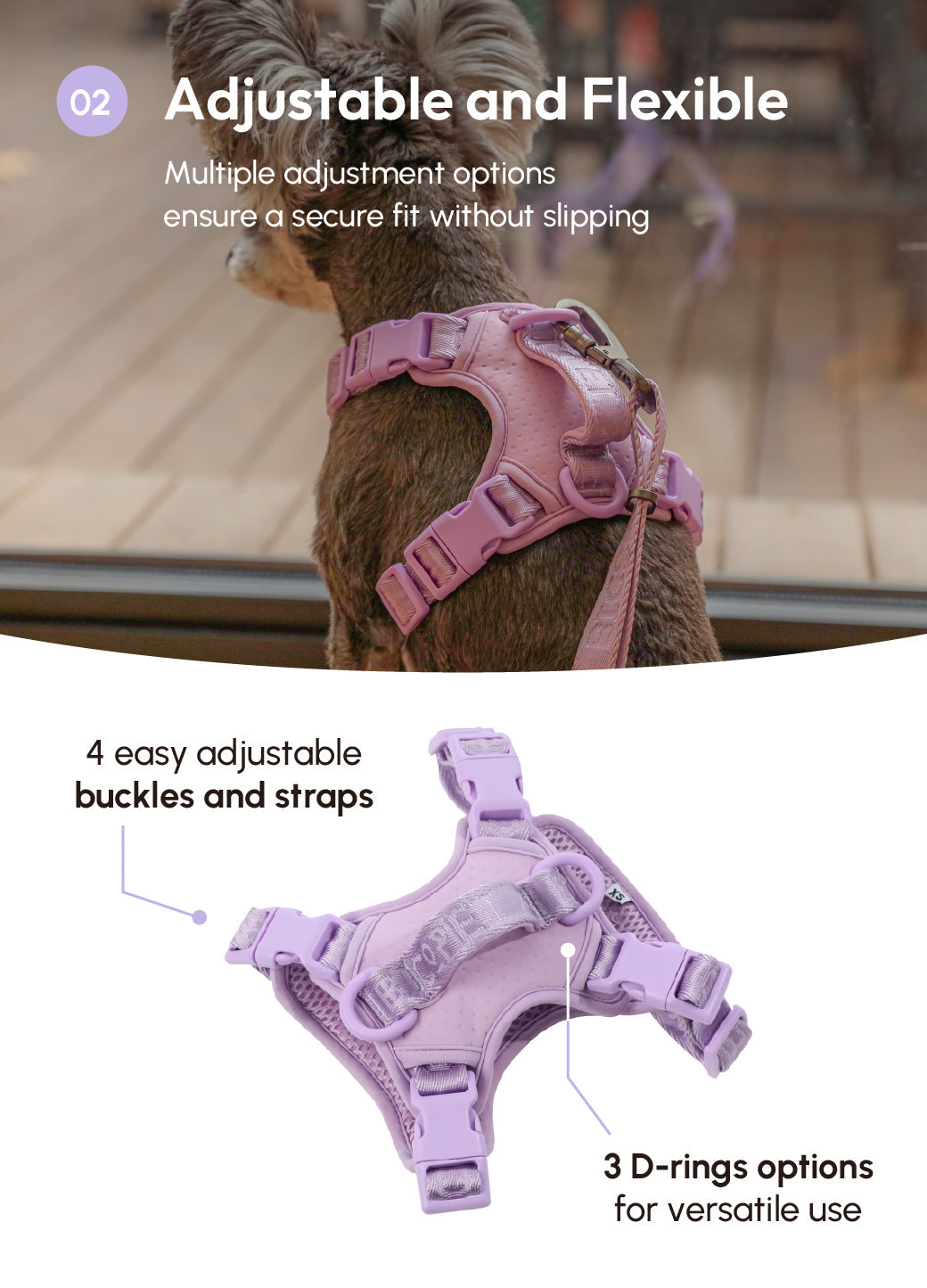 Urban Active Dog Harness - Mint Purple