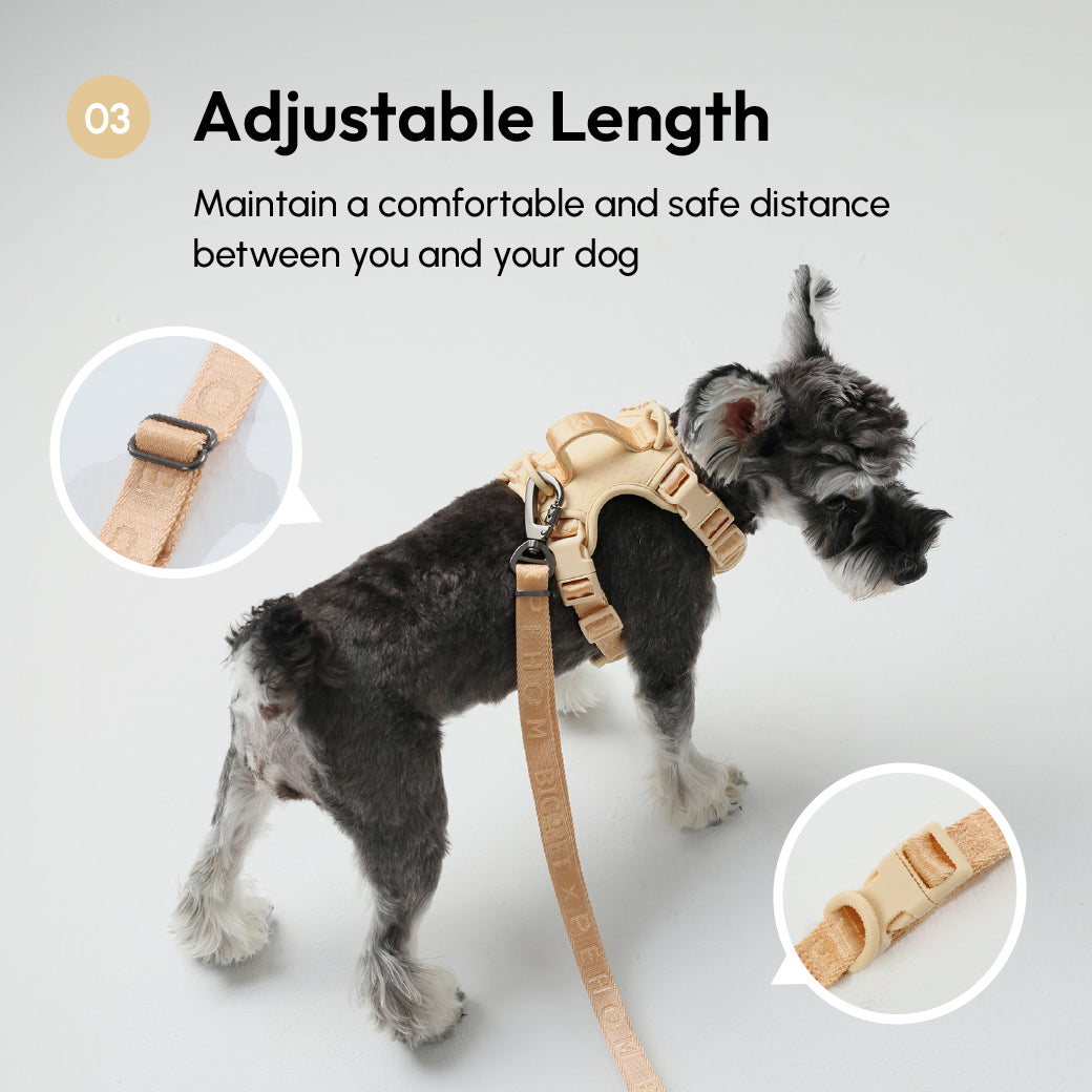 Urban Active Dog Leash – Apricot