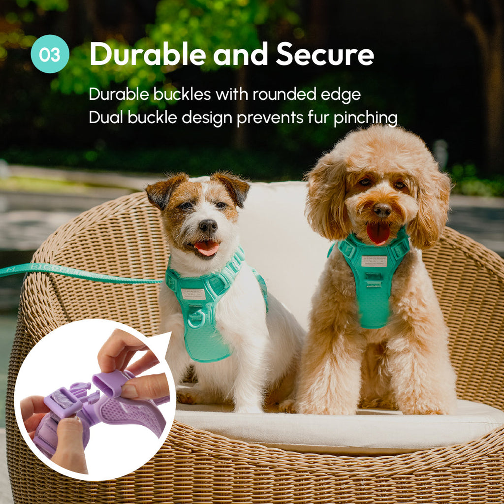 Urban Active Dog Harness - Mint Green