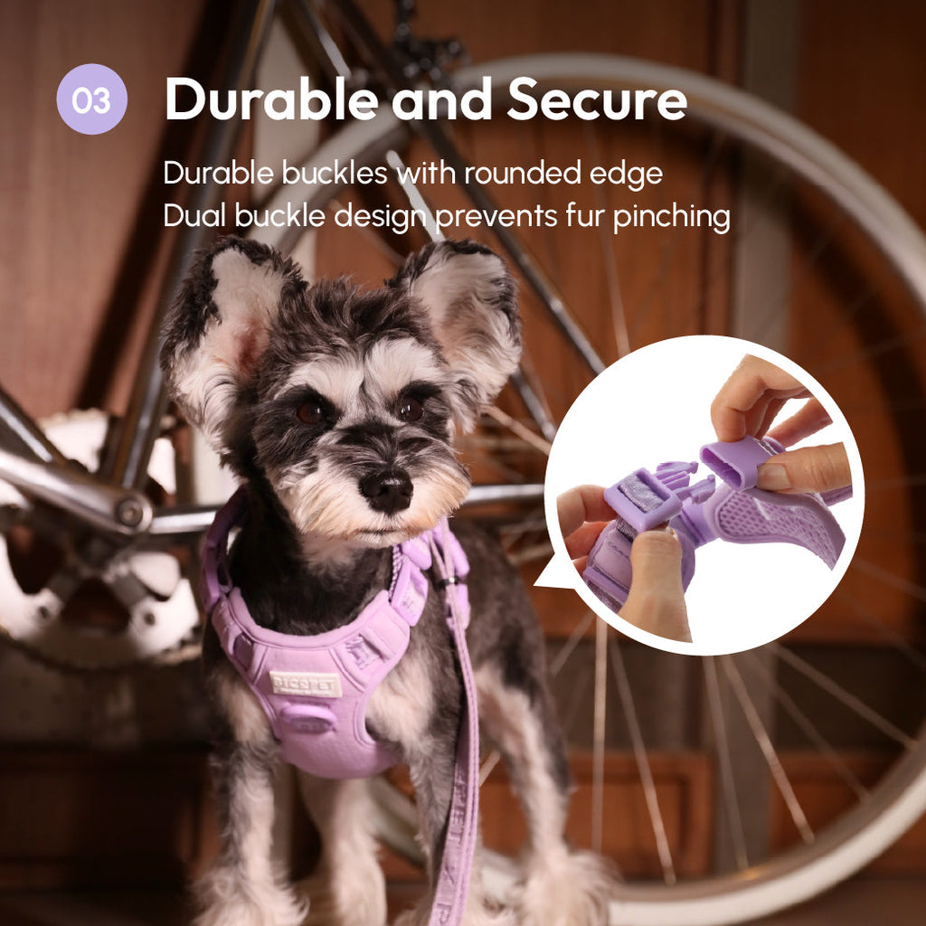 Urban Active Dog Harness - Mint Purple