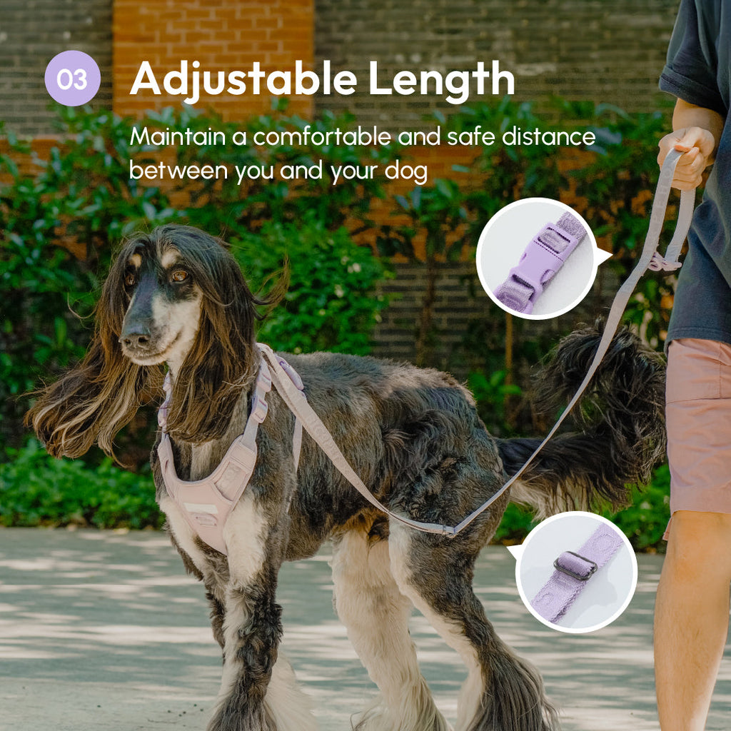 Urban Active Dog Leash - Mint Purple