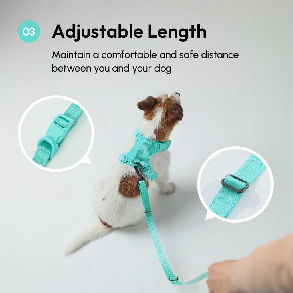Urban Active Dog Leash - Mint Green